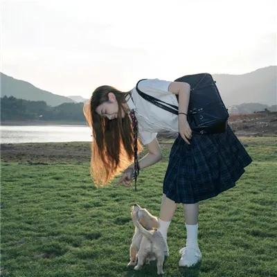 苍鹭与少年